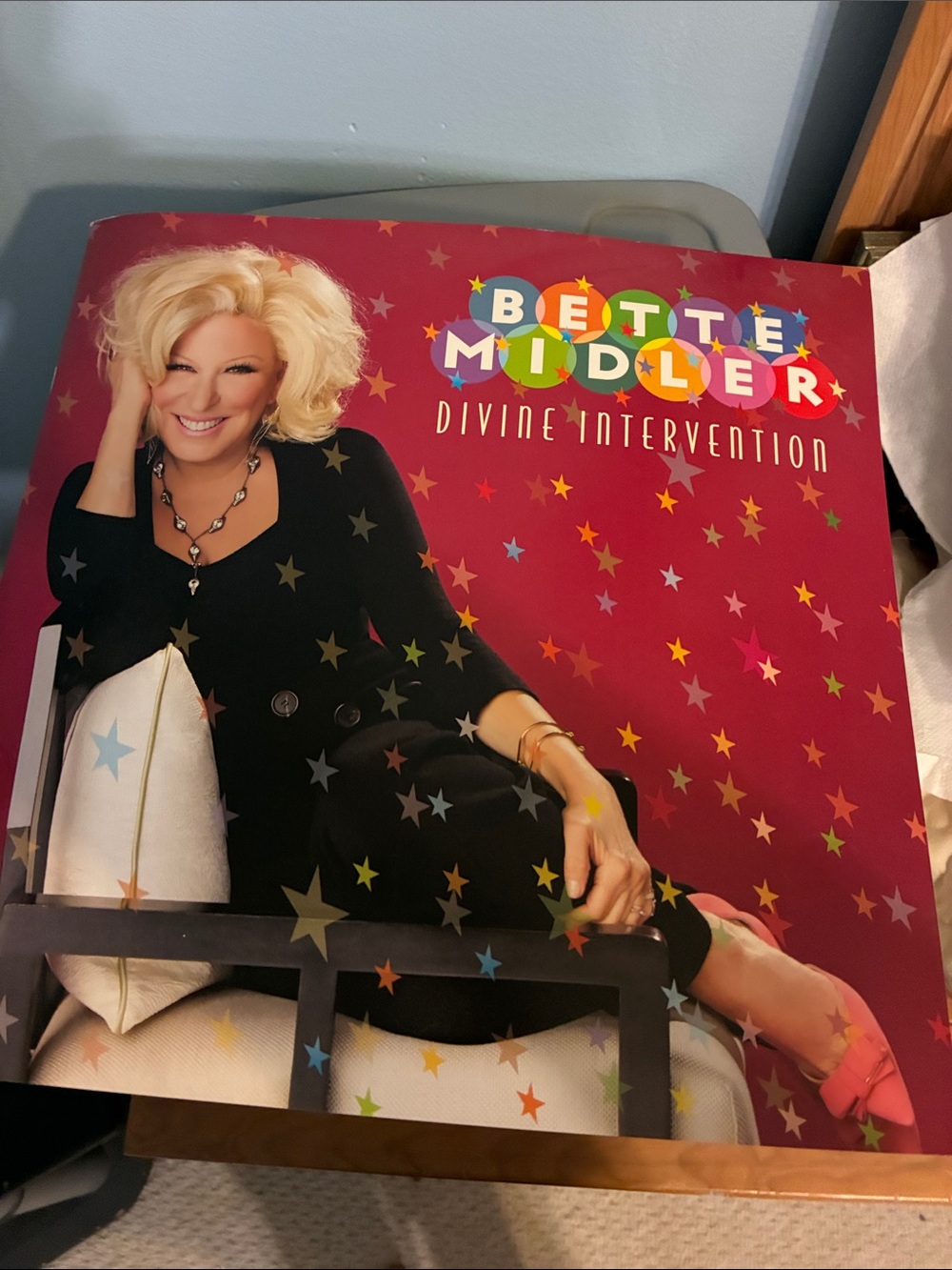 Bette Midler "Divine Intervention" Book